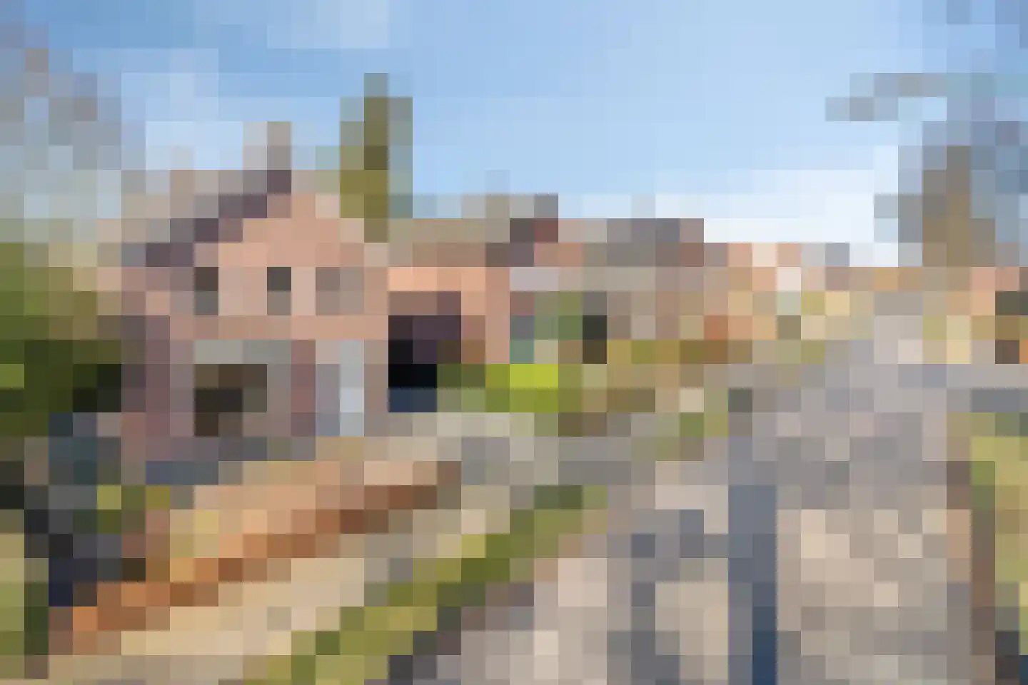Prins Bernhardlaan 20 Heeze thumbnail 30