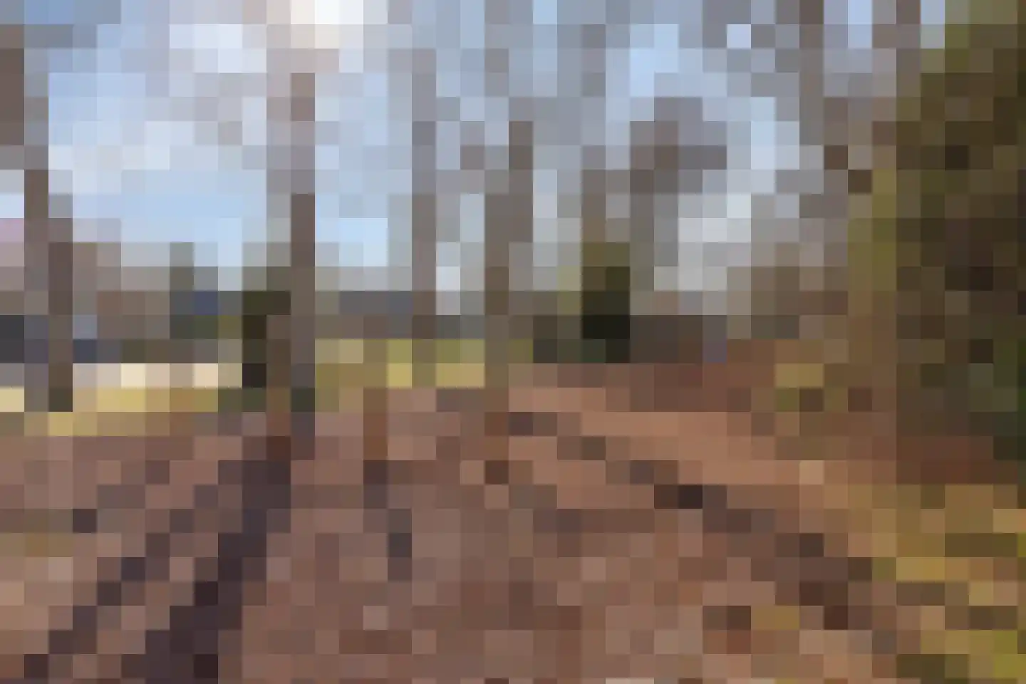 Prins Bernhardlaan 20 Heeze thumbnail 34