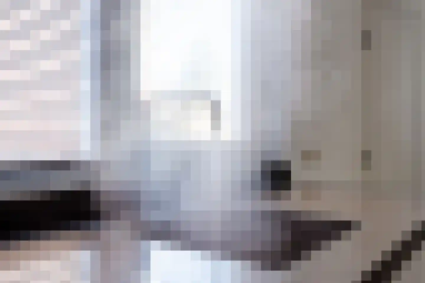 Prins Bernhardlaan 20 Heeze thumbnail 9