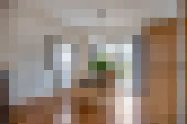 Prins Bernhardlaan 21 Veendam thumbnail 12