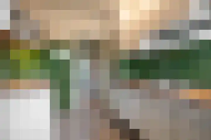 Prins Bernhardlaan 21 Veendam thumbnail 22