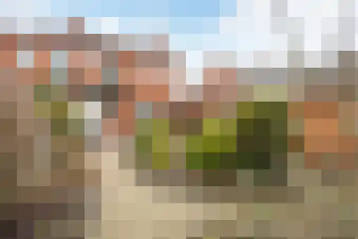 Prins Bernhardlaan 21 Veendam thumbnail 43