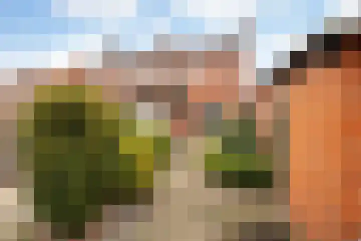 Prins Bernhardlaan 21 Veendam thumbnail 44