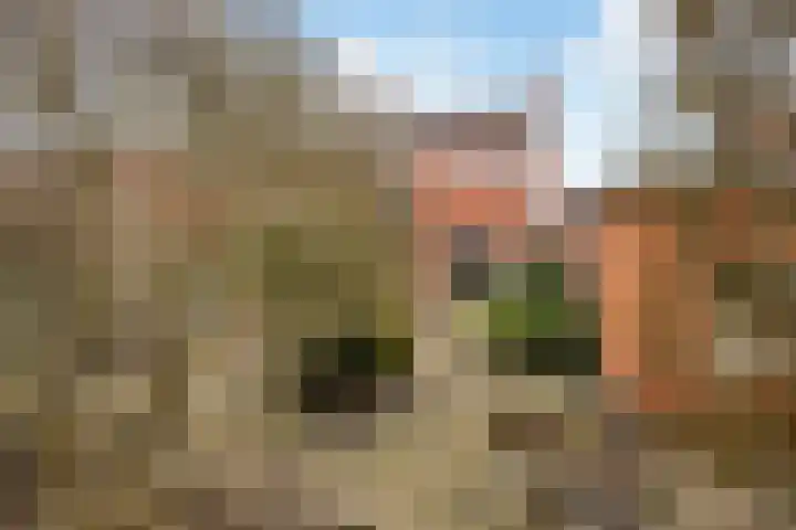 Prins Bernhardlaan 21 Veendam thumbnail 46