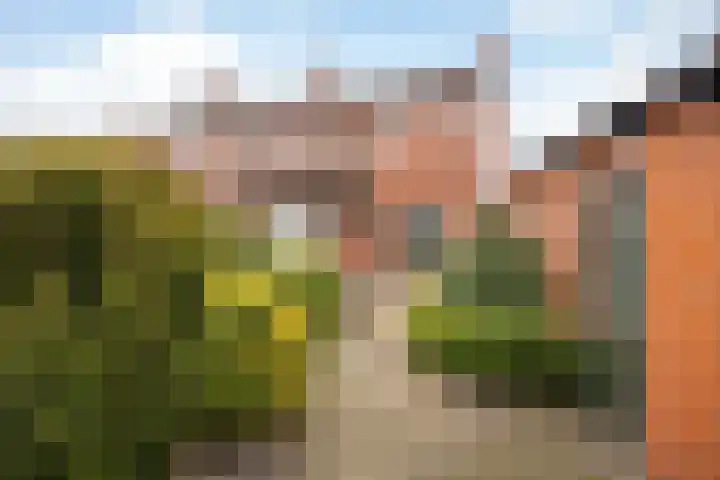 Prins Bernhardlaan 21 Veendam thumbnail 47