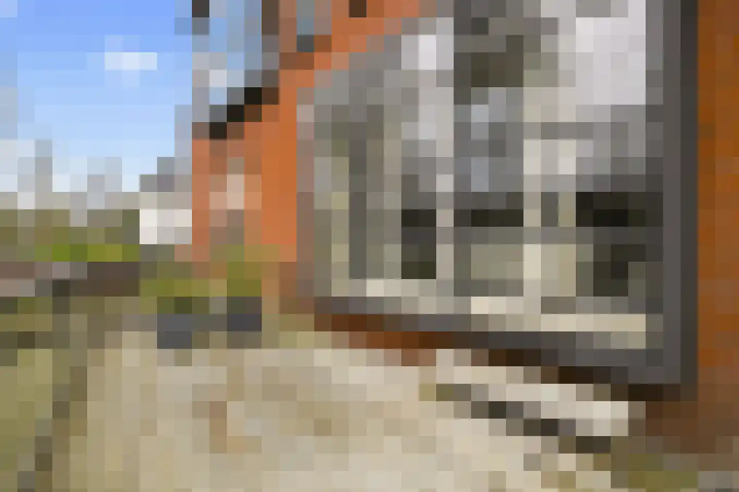 Prins Bernhardlaan 23 Amstelveen thumbnail 38
