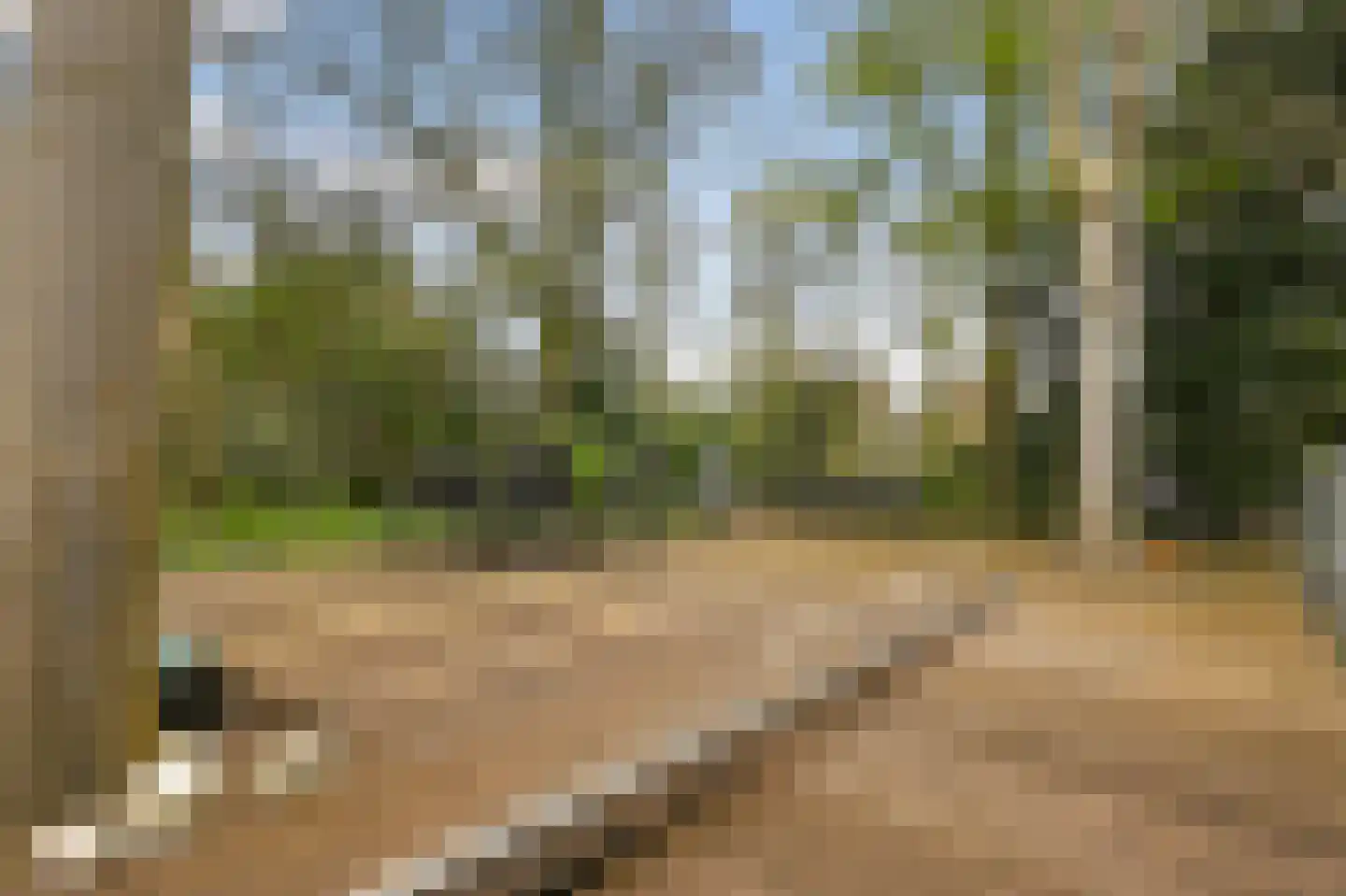 Prins Bernhardlaan 23 Amstelveen thumbnail 44