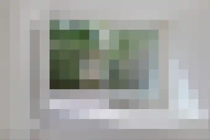 Prins Bernhardlaan 23 Diemen thumbnail 24