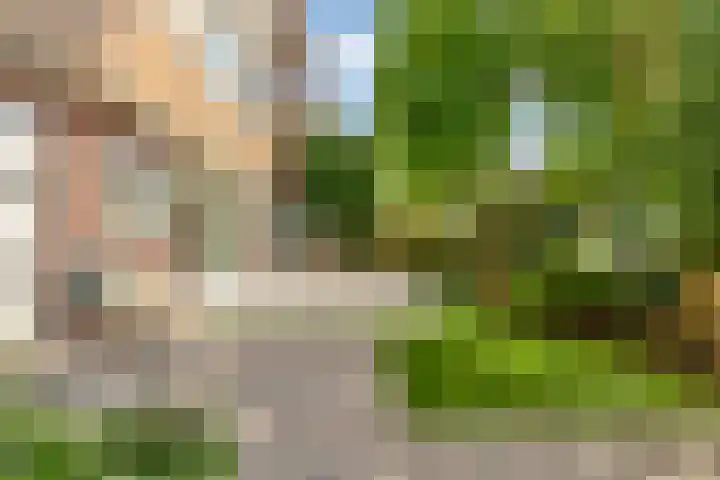 Prins Bernhardlaan 23 Diemen thumbnail 27