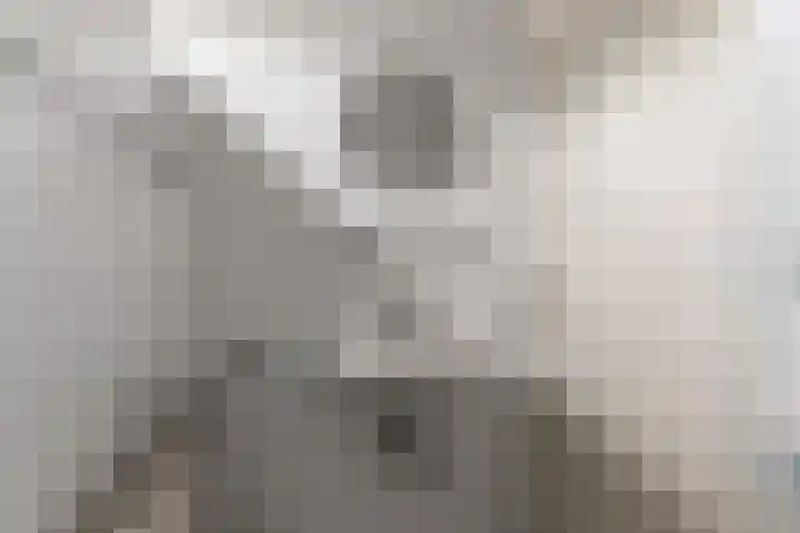 Prins Bernhardlaan 24 Berg en Dal thumbnail 29