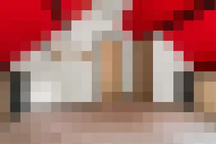 Prins Bernhardlaan 24 Berg en Dal thumbnail 33