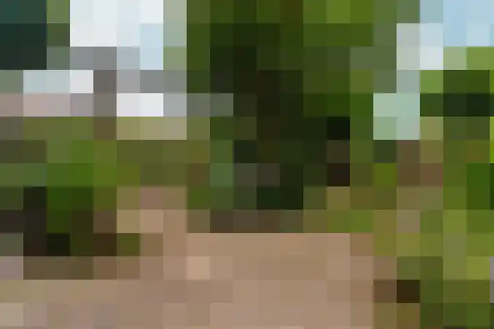 Prins Bernhardlaan 24 Berg en Dal thumbnail 35