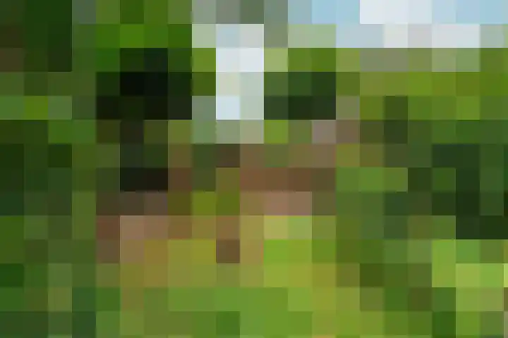 Prins Bernhardlaan 24 Berg en Dal thumbnail 36
