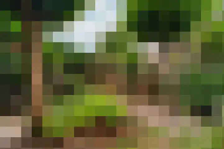 Prins Bernhardlaan 24 Berg en Dal thumbnail 37