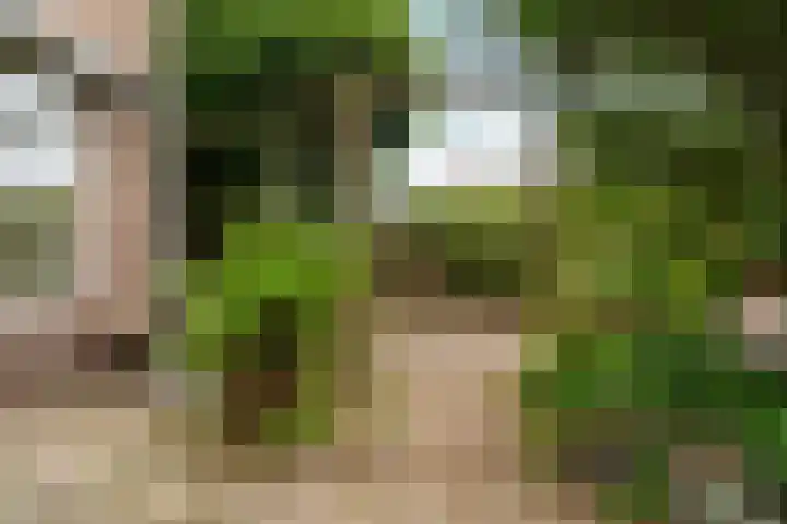 Prins Bernhardlaan 24 Berg en Dal thumbnail 39