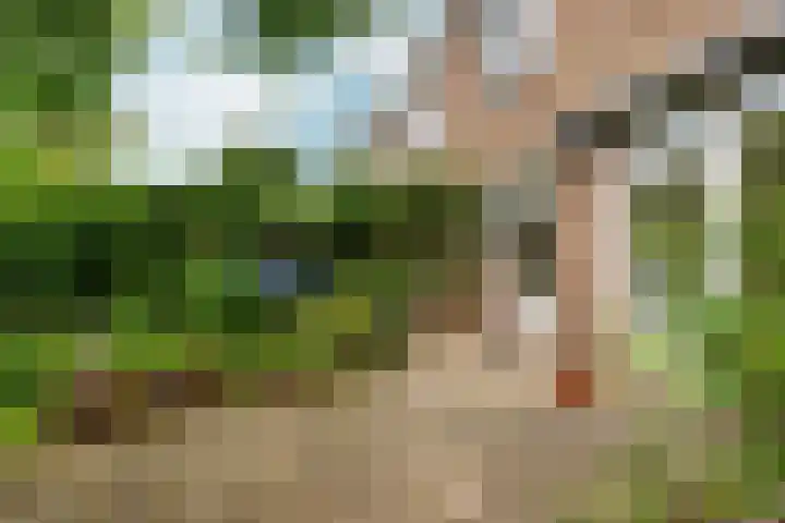 Prins Bernhardlaan 24 Berg en Dal thumbnail 40