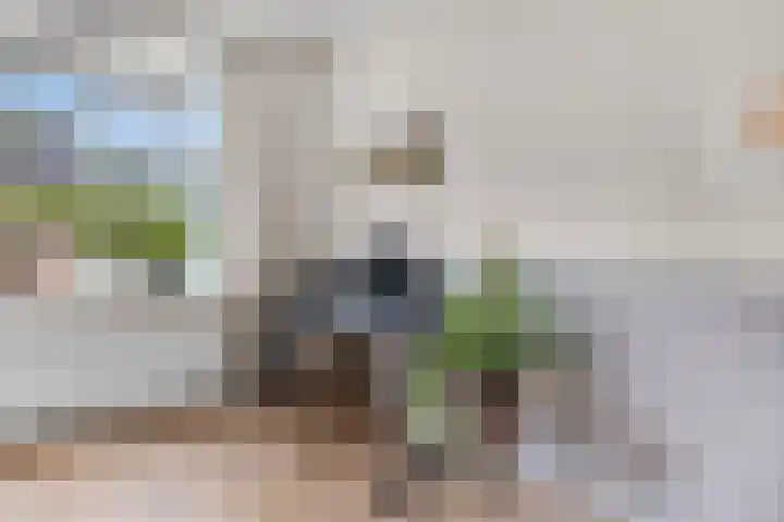 Prins Bernhardlaan 24 Ede thumbnail 10