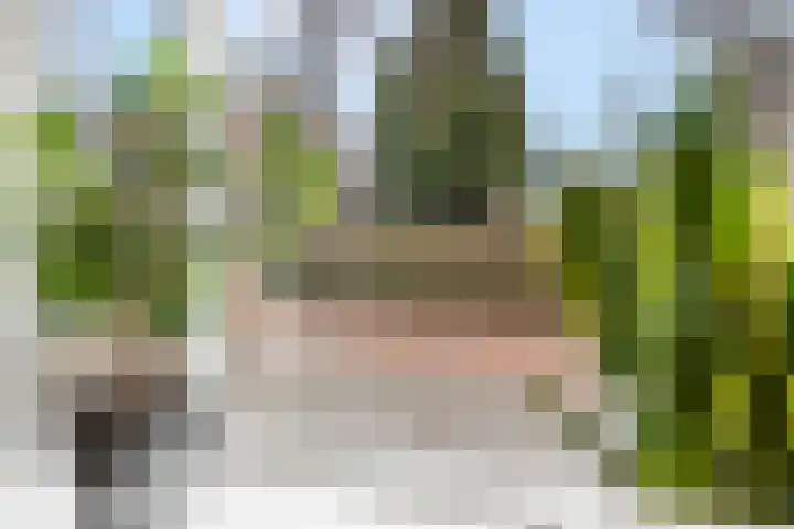 Prins Bernhardlaan 24 Ede thumbnail 11