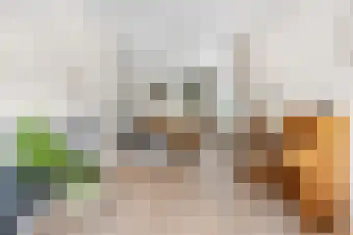 Prins Bernhardlaan 24 Ede thumbnail 12