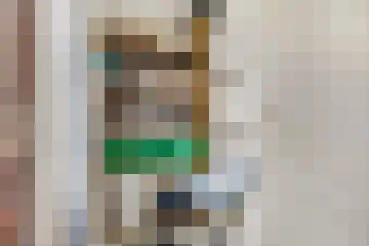 Prins Bernhardlaan 24 Ede thumbnail 21