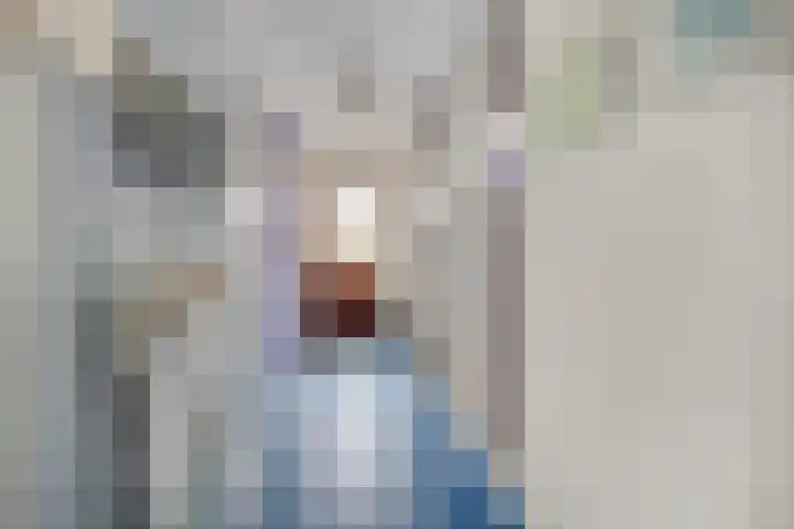 Prins Bernhardlaan 24 Ede thumbnail 23