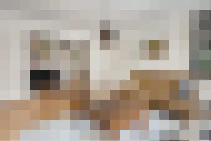 Prins Bernhardlaan 24 Ede thumbnail 4