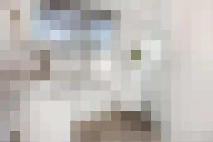 Prins Bernhardlaan 24 Ede thumbnail 42
