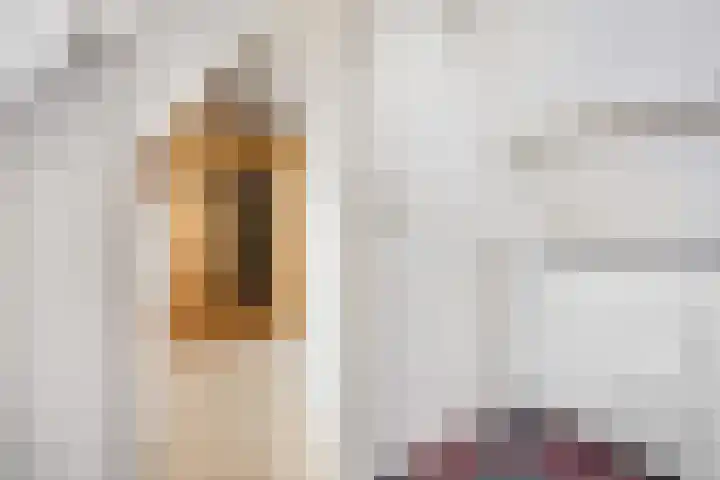 Prins Bernhardlaan 24 Ede thumbnail 49