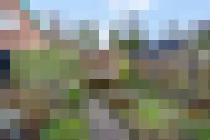 Prins Bernhardlaan 24 Ede thumbnail 52