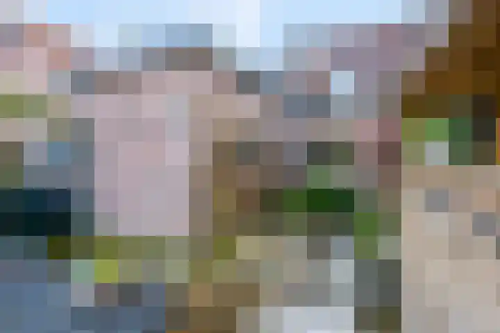 Prins Bernhardlaan 24 Ede thumbnail 56
