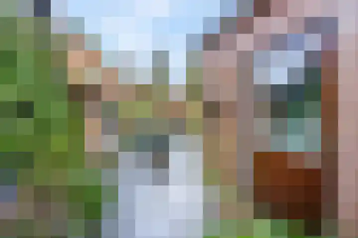 Prins Bernhardlaan 24 Ede thumbnail 57