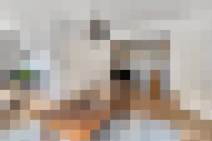 Prins Bernhardlaan 24 Ede thumbnail 6