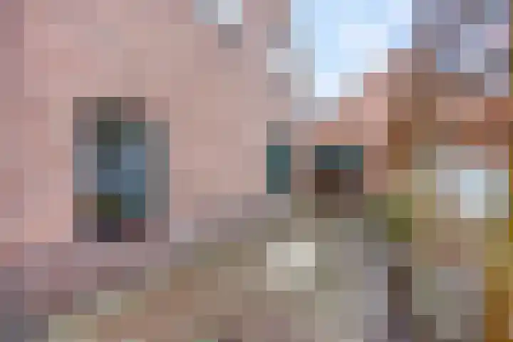 Prins Bernhardlaan 24 Ede thumbnail 63