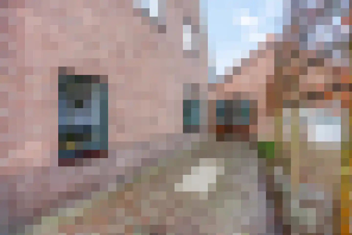 Prins Bernhardlaan 24 Ede thumbnail 63