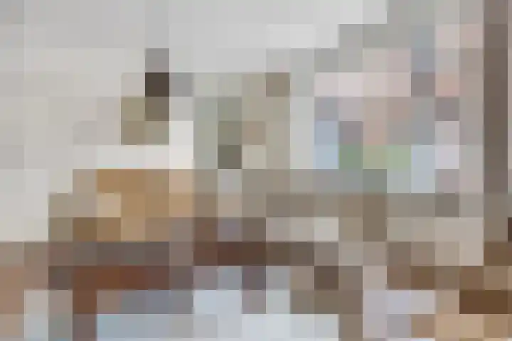Prins Bernhardlaan 24 Ede thumbnail 8