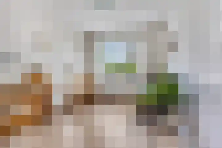 Prins Bernhardlaan 24 Ede thumbnail 9