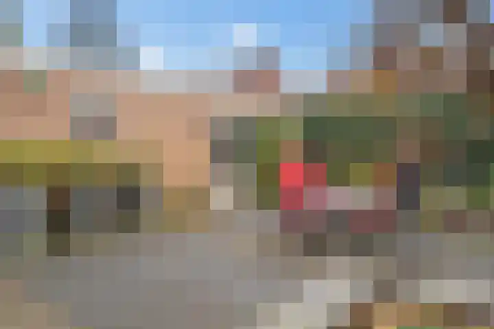 Prins Bernhardlaan 25 IJsselstein thumbnail 34