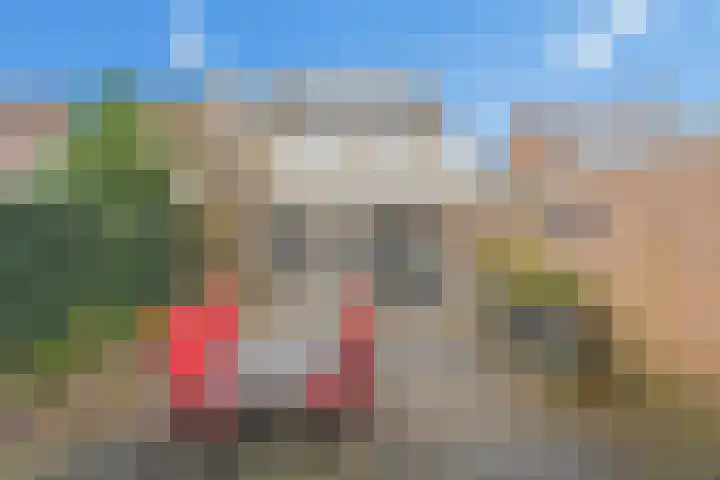 Prins Bernhardlaan 25 IJsselstein thumbnail 36