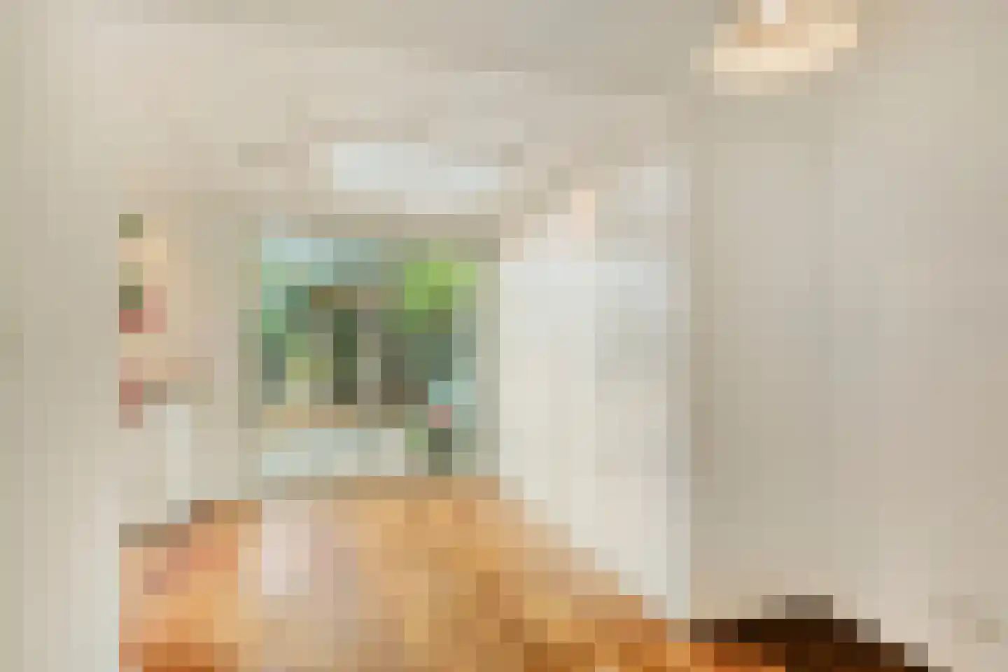 Prins Bernhardlaan 26 Bergen (NH) thumbnail 19