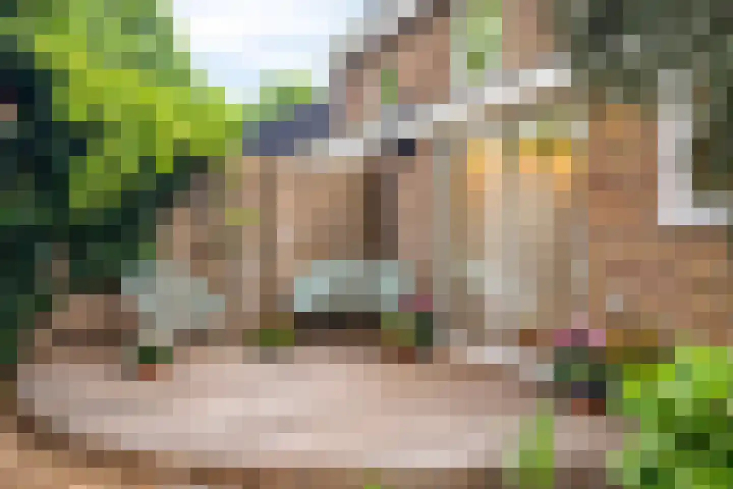 Prins Bernhardlaan 26 Bergen (NH) thumbnail 5
