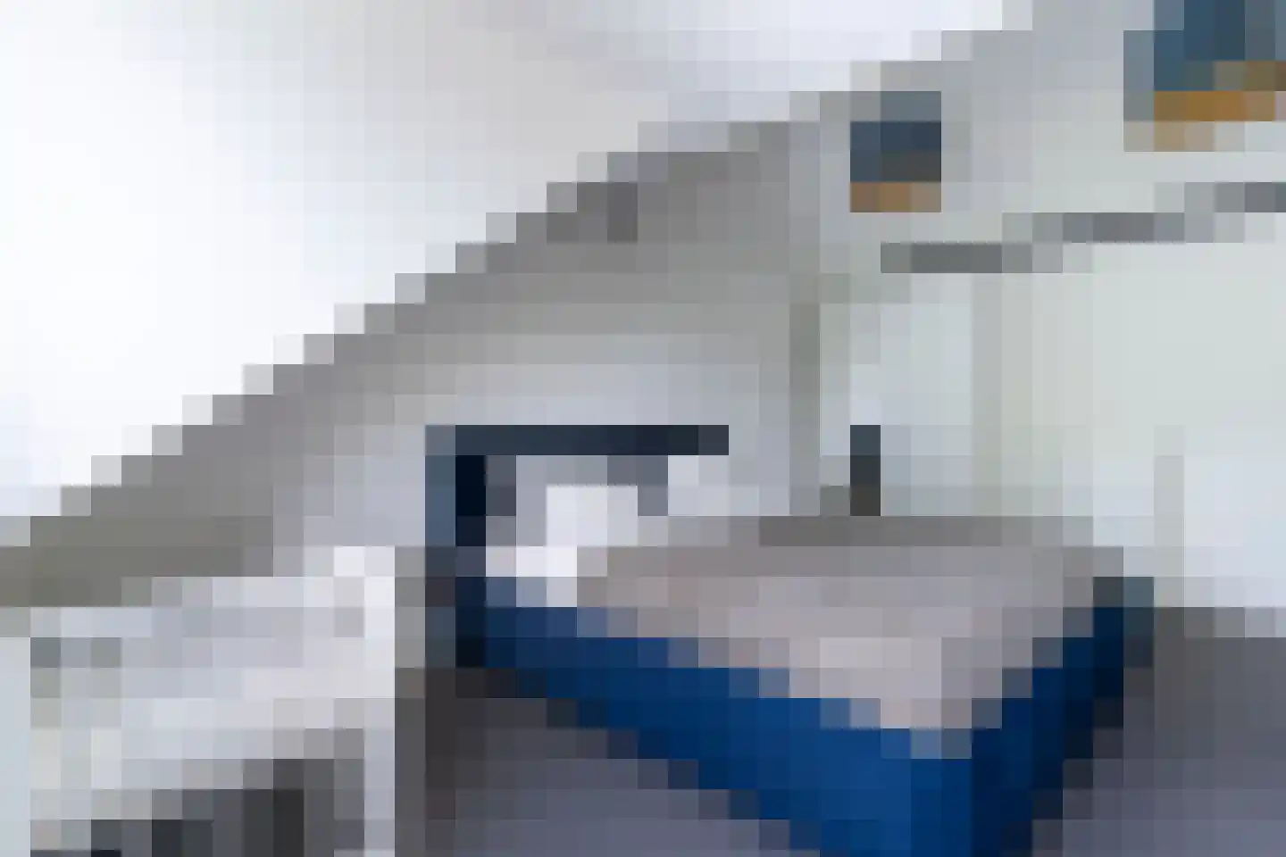 Prins Bernhardlaan 27 BS Utrecht thumbnail 19