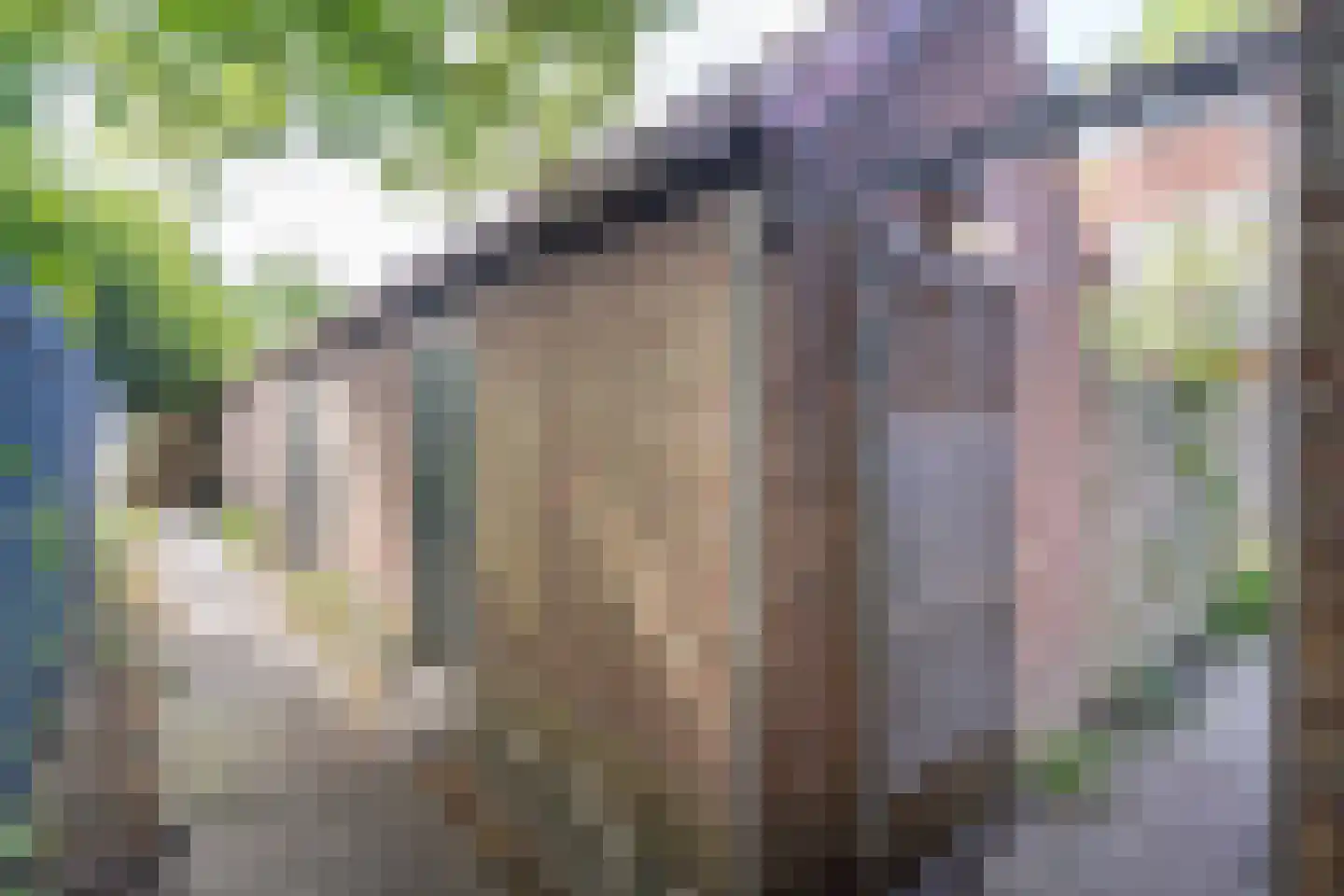 Prins Bernhardlaan 27 BS Utrecht thumbnail 33