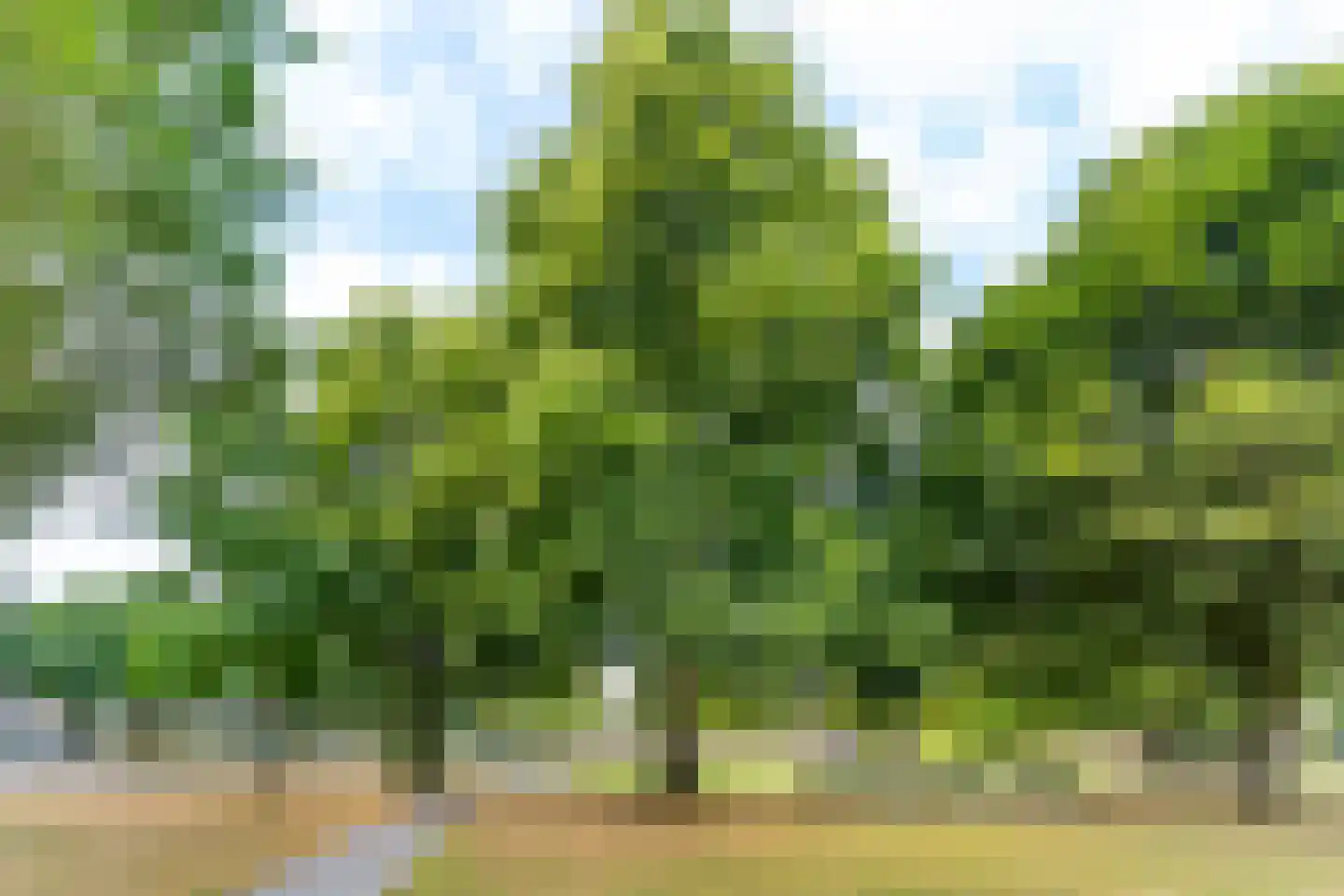 Prins Bernhardlaan 27 BS Utrecht thumbnail 38
