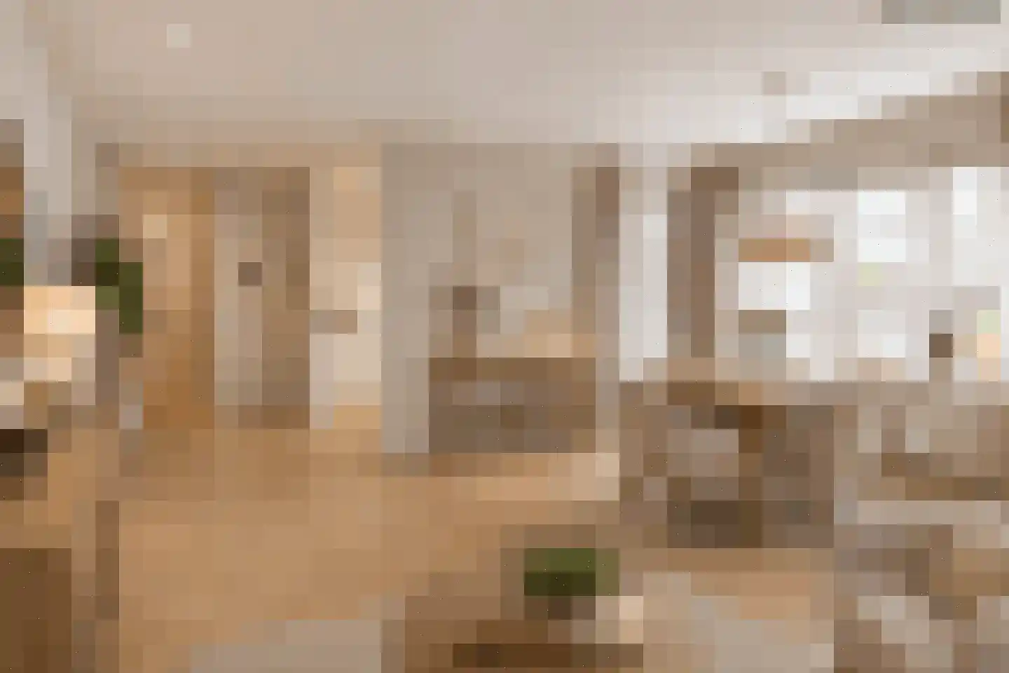 Prins Bernhardlaan 28 04 Veenendaal thumbnail 7