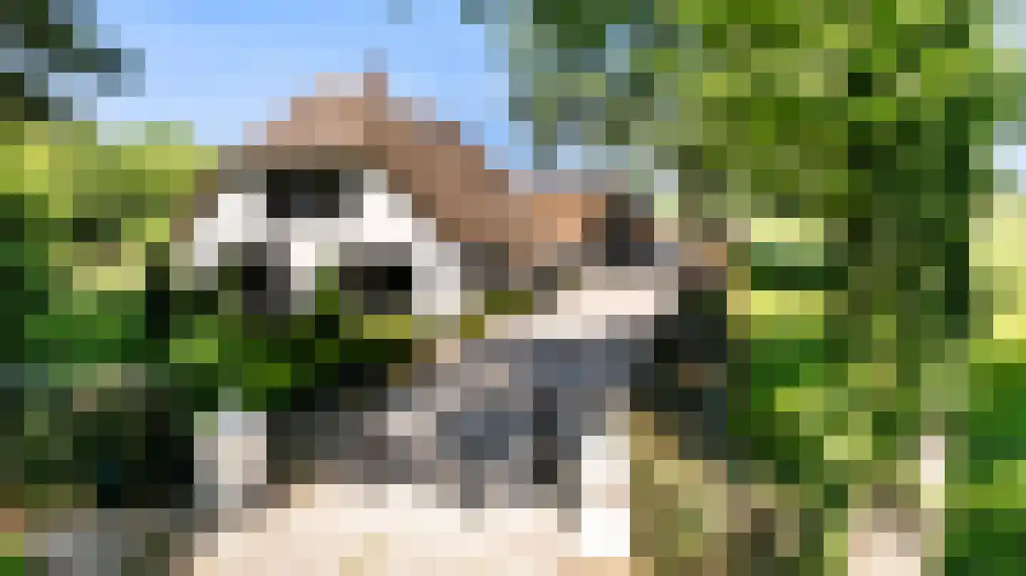 Prins Bernhardlaan 28 in Vaassen