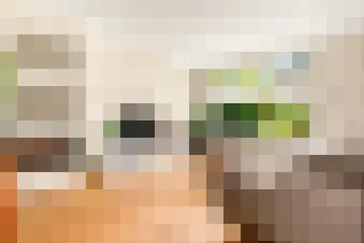 Prins Bernhardlaan 28 Akersloot thumbnail 13