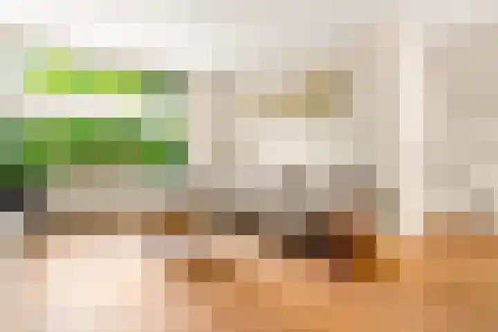Prins Bernhardlaan 28 Akersloot thumbnail 14