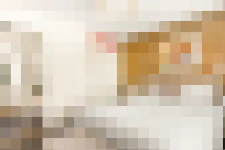 Prins Bernhardlaan 28 Akersloot thumbnail 28