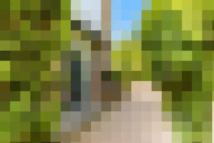 Prins Bernhardlaan 28 Akersloot thumbnail 8