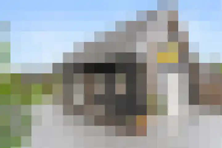 Prins Bernhardlaan 28 Amerongen thumbnail 28